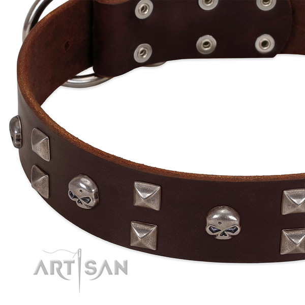 Best quality leather dog collar handcrafted for your doggie