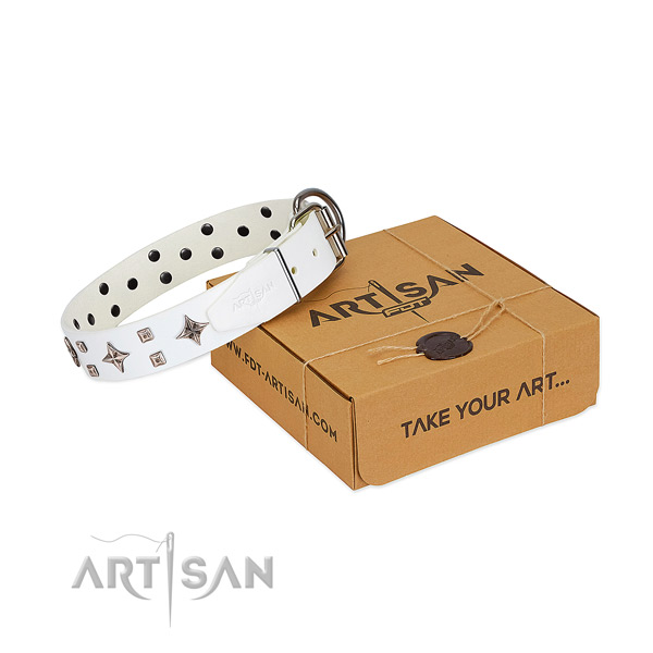 Impressive full grain leather collar for your doggie stylish walking
