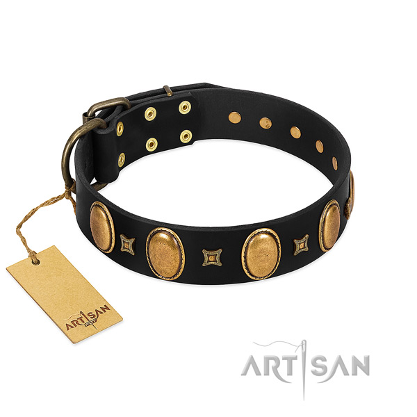 Genuine leather dog collar with amazing decorations for comfy wearing