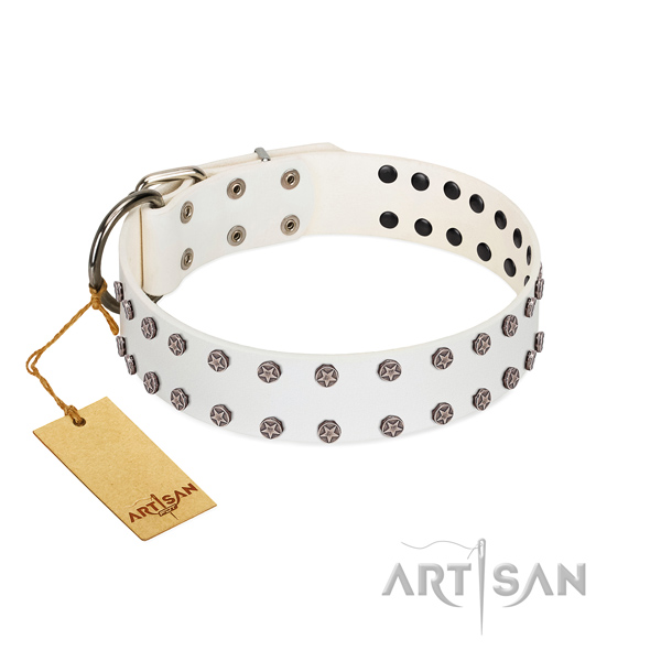 Remarkable full grain natural leather dog collar