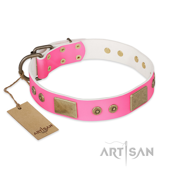Exceptional full grain genuine leather dog collar for walking