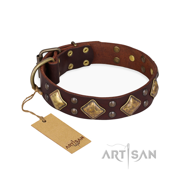 Handy use trendy dog collar with strong hardware