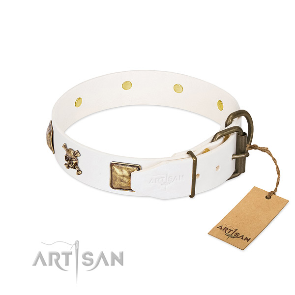 Unique full grain leather dog collar with durable embellishments