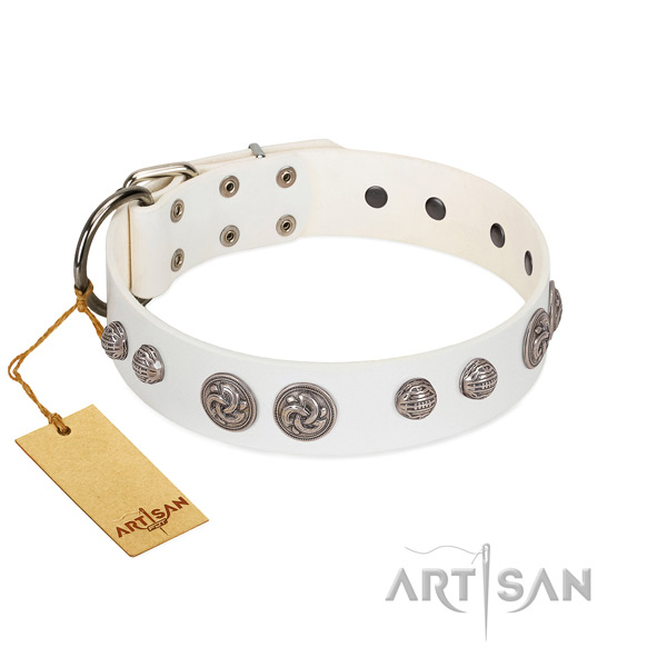 Reliable buckle on full grain genuine leather dog collar for your dog