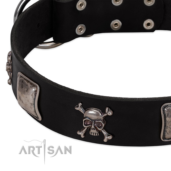 Corrosion proof adornments on full grain natural leather dog collar