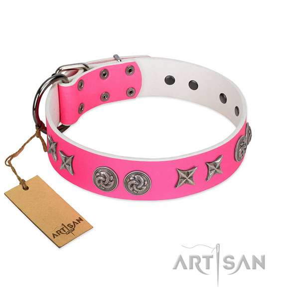 Walking dog collar of genuine leather with impressive decorations