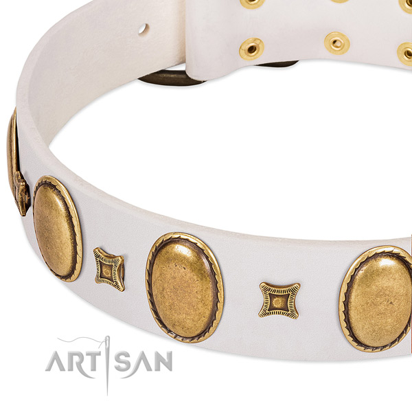 Full grain genuine leather dog collar with corrosion resistant hardware for walking