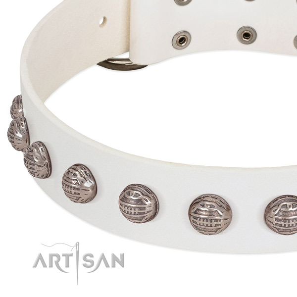 Exceptional genuine leather dog collar with corrosion proof decorations