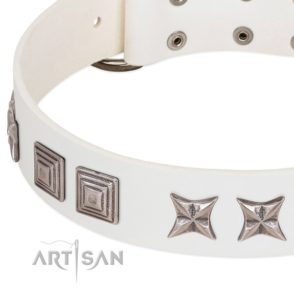 Comfortable wearing full grain natural leather dog collar with stylish design embellishments