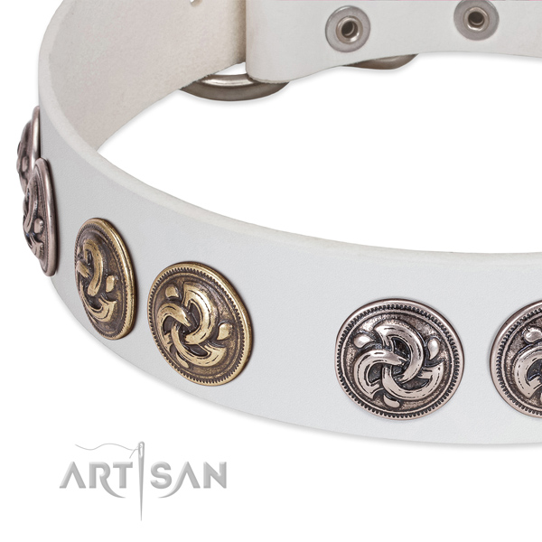 Easy wearing genuine leather dog collar for daily walking