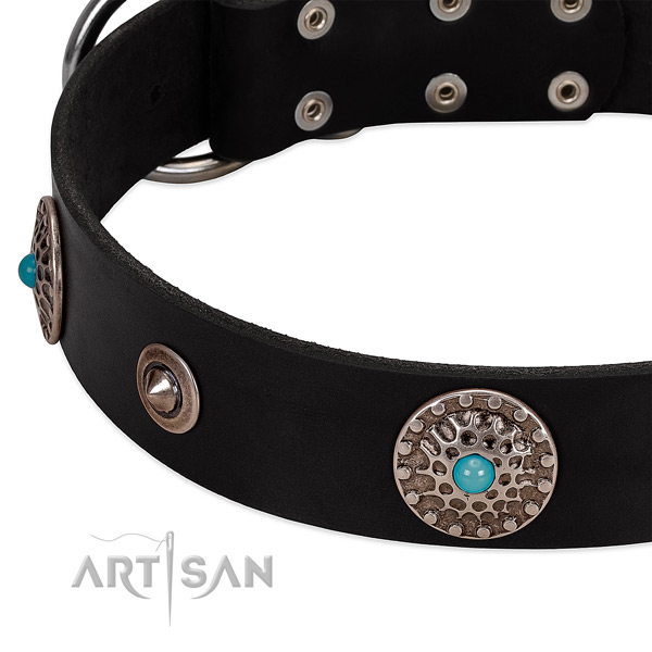 Decorated collar of leather for your lovely doggie