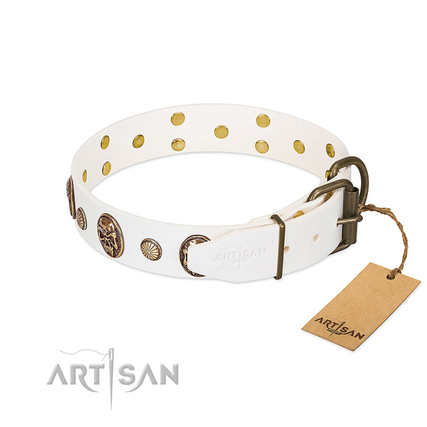 Rust resistant hardware on full grain leather collar for basic training your pet