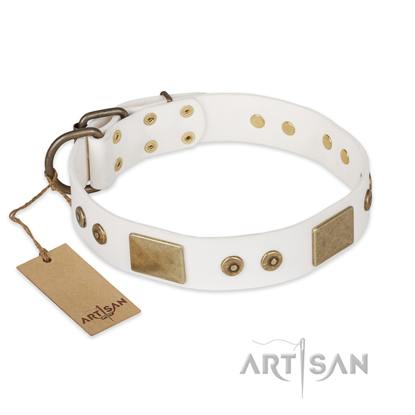 Unique full grain leather dog collar for everyday walking