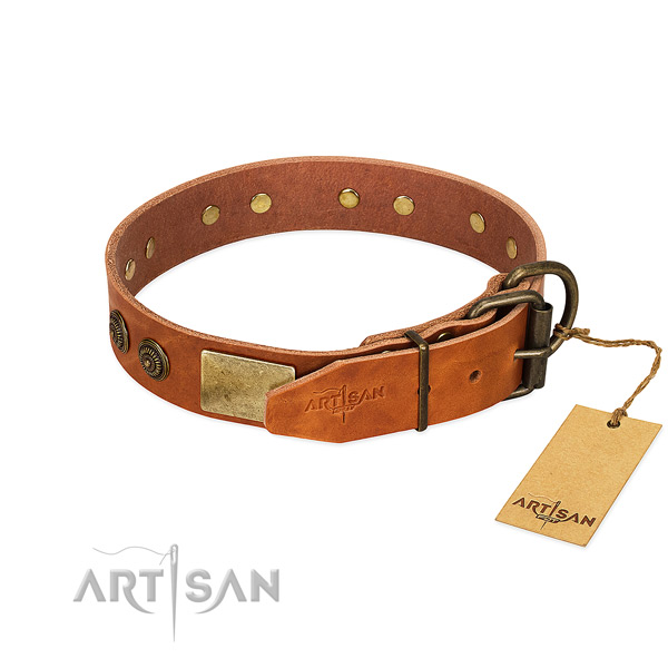 Rust resistant fittings on full grain natural leather collar for basic training your pet