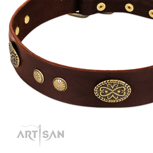 Strong fittings on genuine leather dog collar for your canine