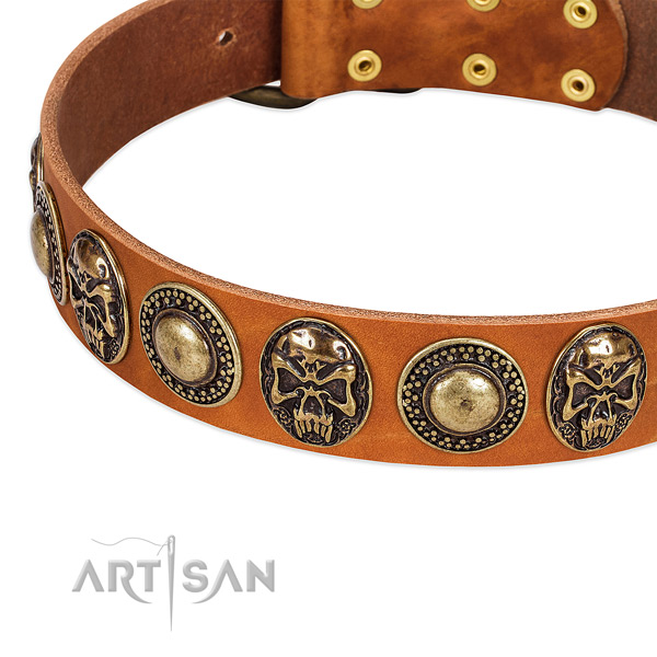 Durable hardware on full grain leather dog collar for your canine