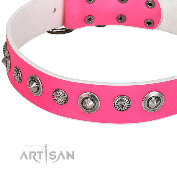 Full grain leather collar with corrosion resistant fittings for your stylish pet