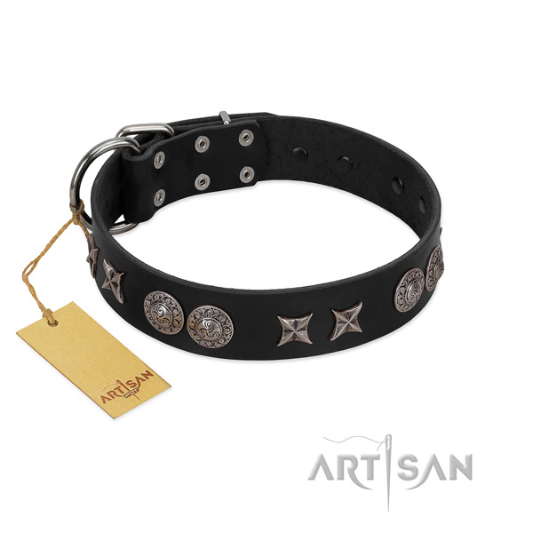Durable D-ring on full grain natural leather dog collar for daily use