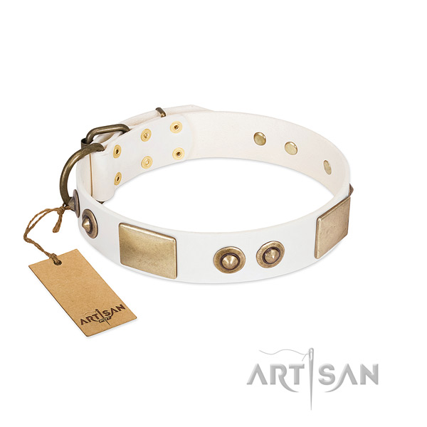 Corrosion resistant hardware on genuine leather dog collar for your four-legged friend