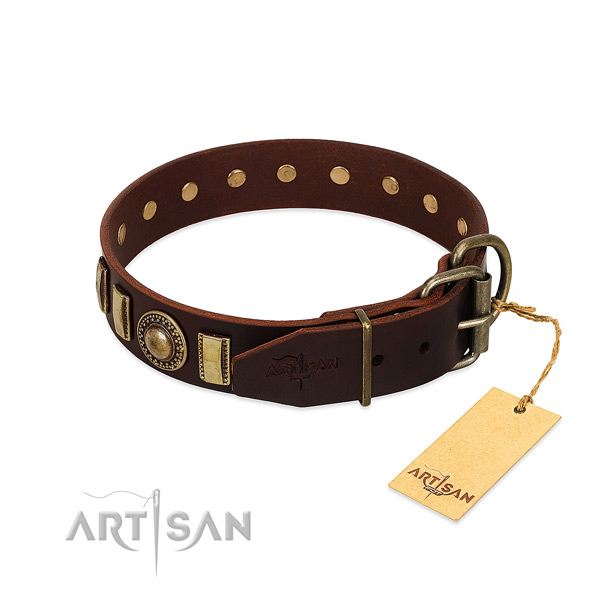 Inimitable gentle leader dog collar with corrosion proof hardware