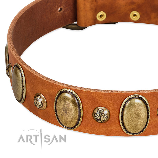 Full grain leather dog collar with inimitable adornments
