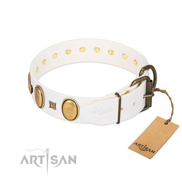 Reliable studs on everyday use dog collar