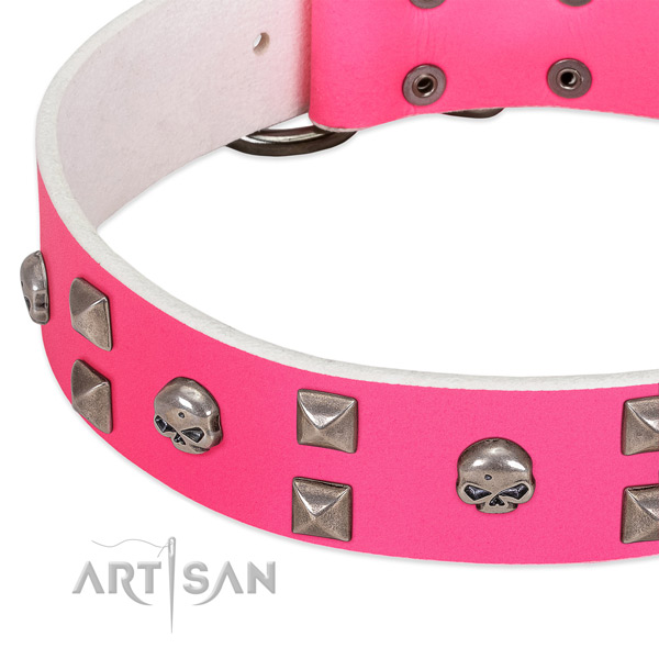 Full grain leather collar with stylish studs for your canine