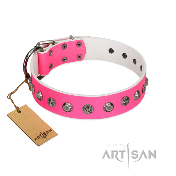 Full grain leather dog collar of best quality material with extraordinary adornments