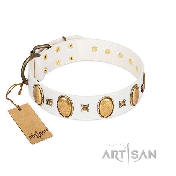 Leather dog collar with unique decorations for daily use