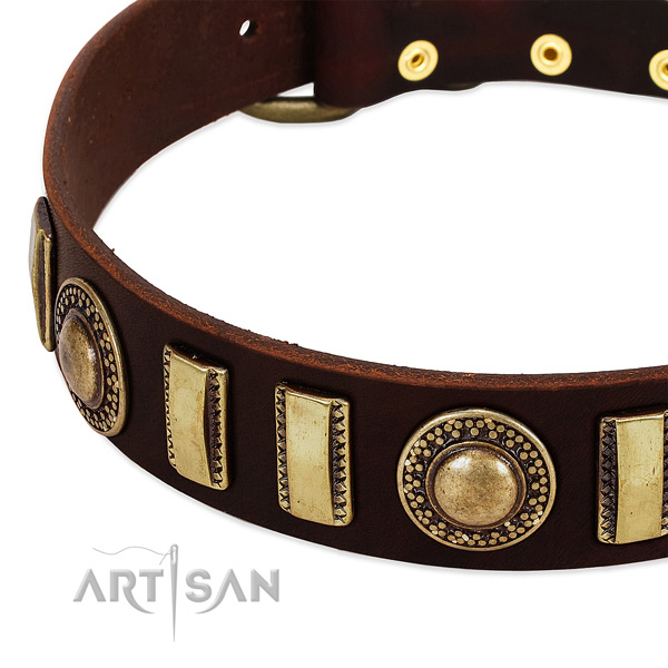 Best quality leather dog collar with rust resistant hardware