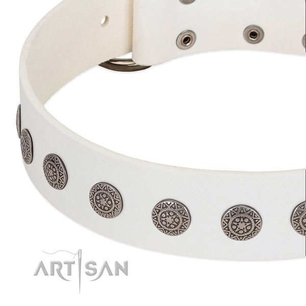 Fine quality natural leather collar with embellishments for your pet