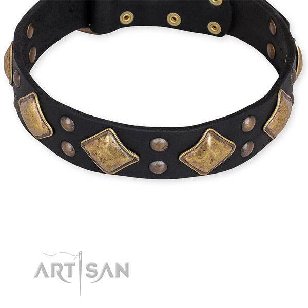 Natural genuine leather dog collar with trendy reliable studs