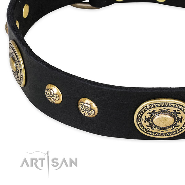 Unusual leather collar for your lovely canine