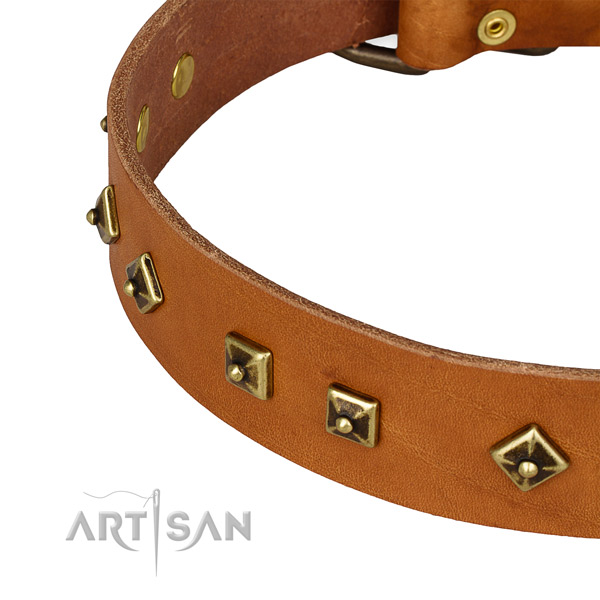 Amazing full grain genuine leather collar for your impressive four-legged friend