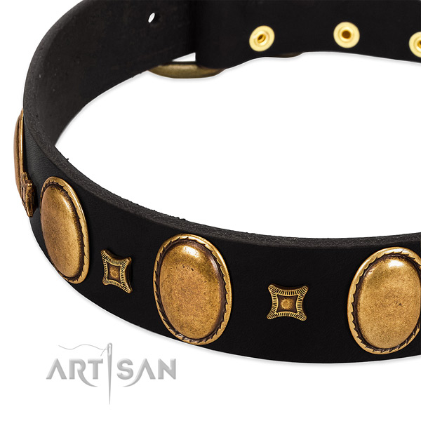 Full grain leather dog collar with decorations for daily use