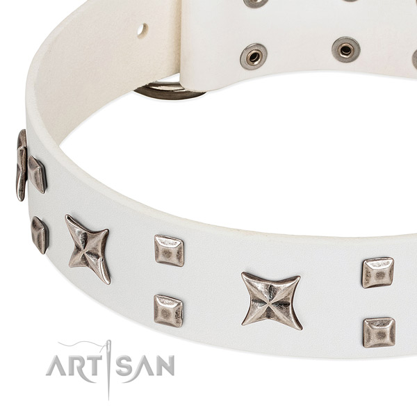 High quality natural leather dog collar with embellishments for fancy walking