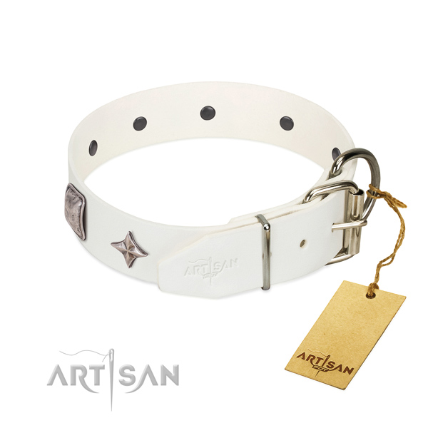 Best quality leather dog collar with exquisite studs