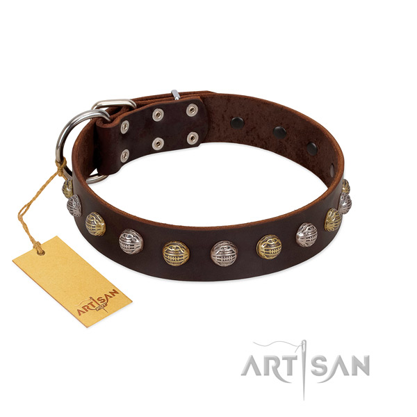Rust-proof traditional buckle on full grain genuine leather dog collar for basic training your pet