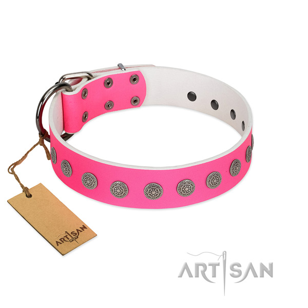 Exquisite studs on full grain leather collar for handy use your doggie