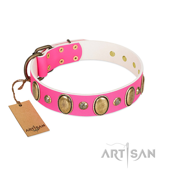 Genuine leather dog collar of soft to touch material with unique decorations