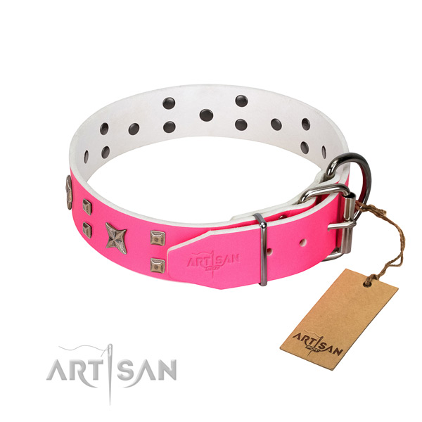 Rust resistant decorations on leather dog collar for your dog