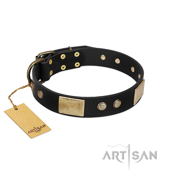 Unusual genuine leather dog collar for handy use