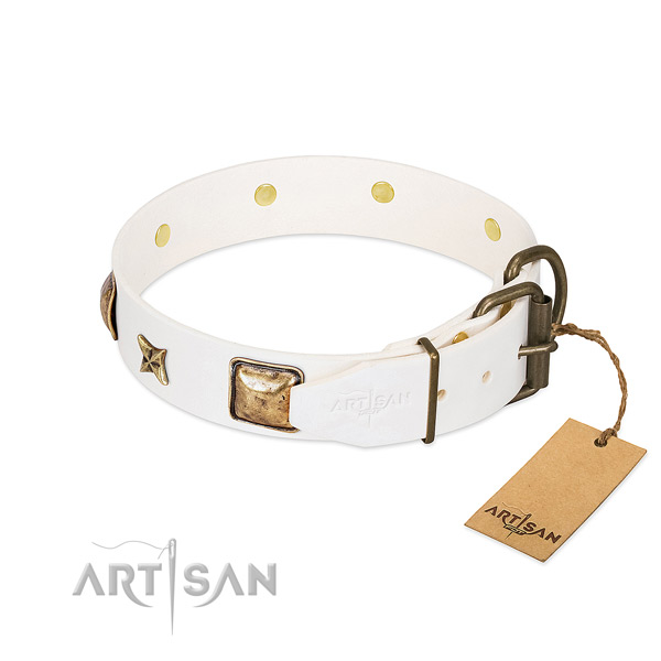 Leather dog collar with rust resistant buckle and studs