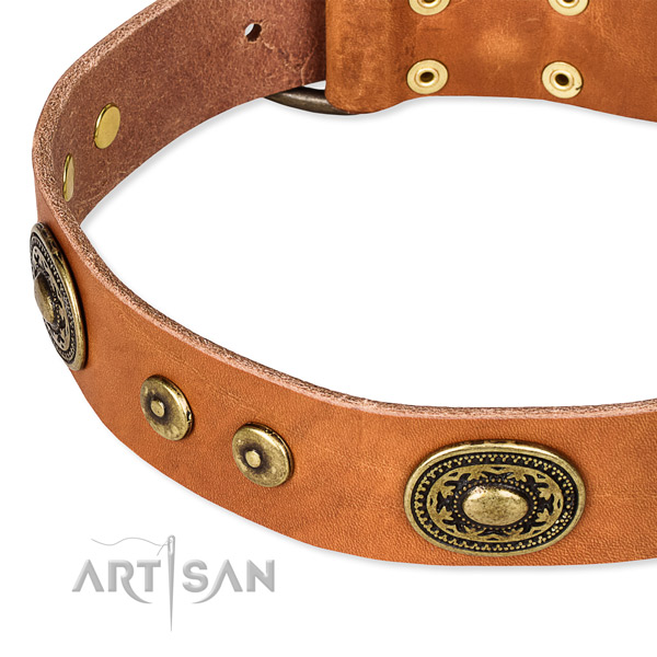Full grain genuine leather dog collar made of high quality material with adornments