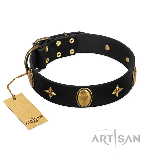 Top notch natural leather collar with rust resistant studs for your pet
