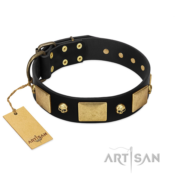 Rust resistant buckle on dog collar for daily walking