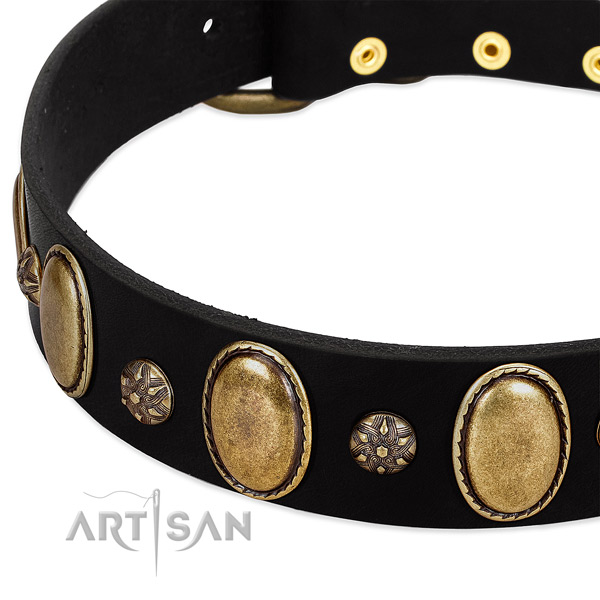 Fancy walking reliable full grain leather dog collar