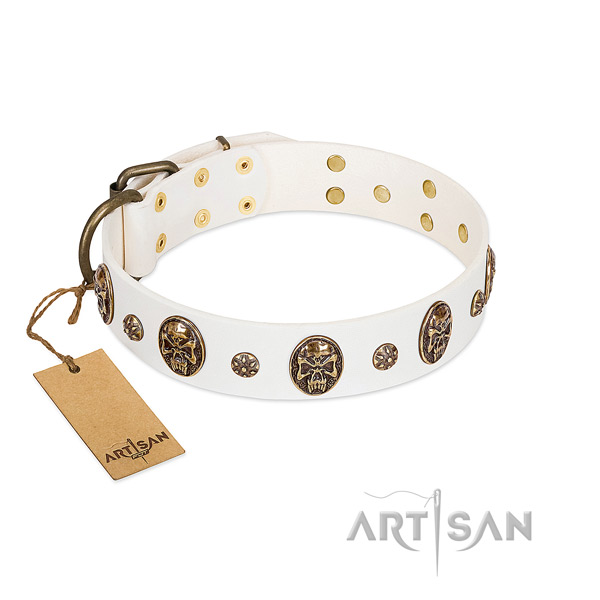 Perfect fit genuine leather collar for your dog