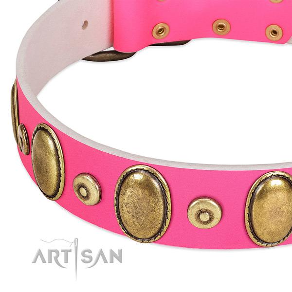Top rate full grain leather collar with rust-proof studs for your dog