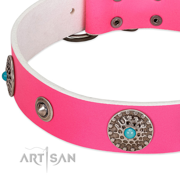 Perfect fit collar of genuine leather for your handsome doggie